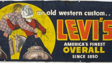 Photo of Джинсы Levi’s: обзор моделей