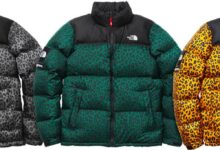 Photo of Пуховик The North Face: тепло и комфорт